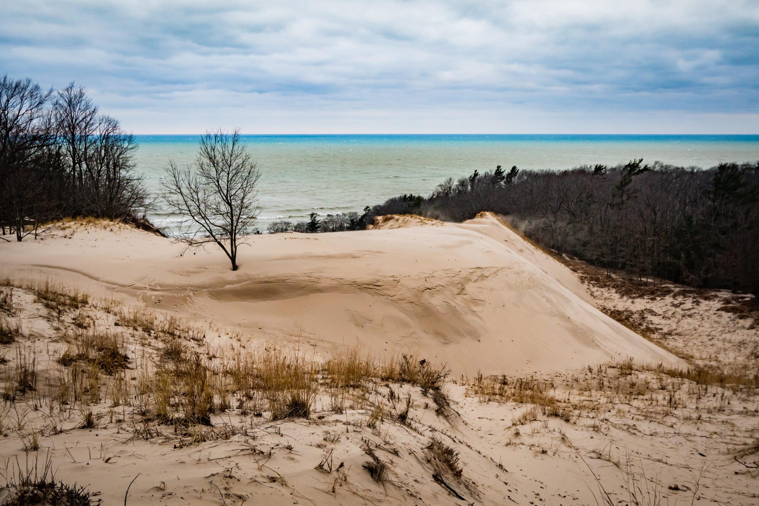 image of lake michigan dunes